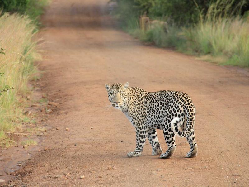 柬埔寨吴哥窟<br>qyo4ufag.cn 高棉微笑石雕